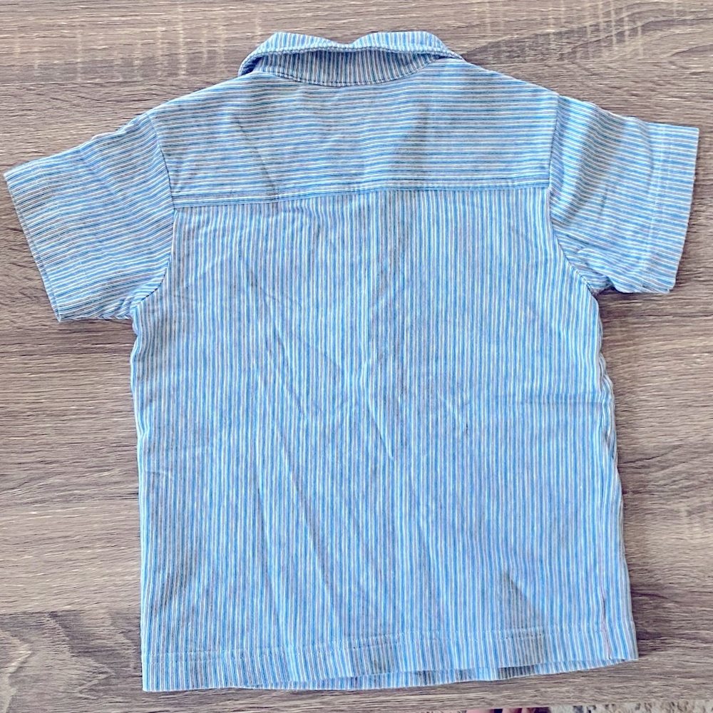 Tea Collection Striped Polo - Picture 5 of 5
